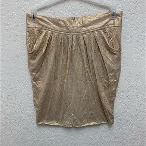 Zara champagne skirt size L